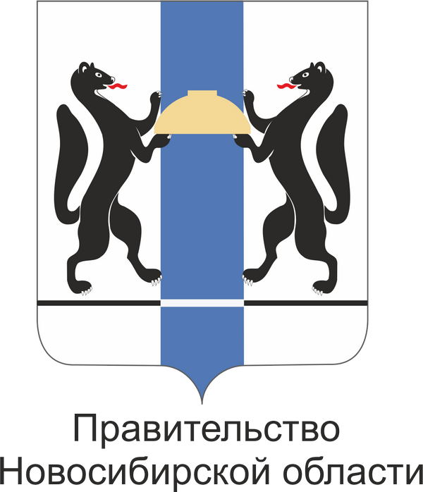 Правительство Новосибирской области