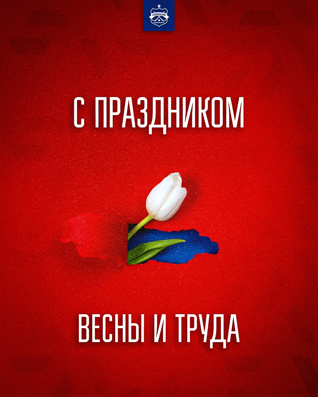С праздником Весны и Труда!